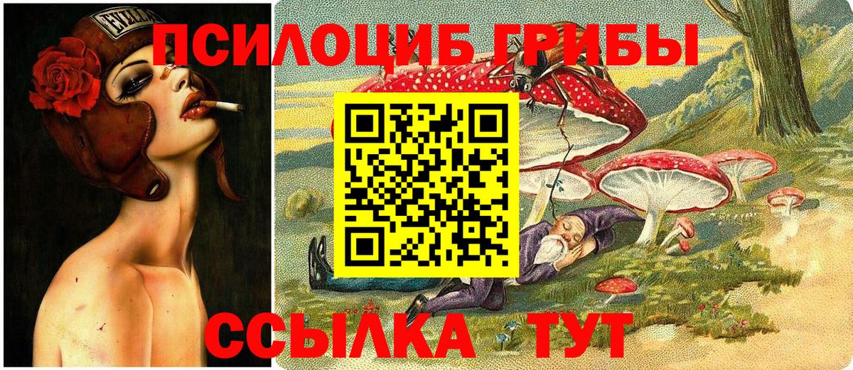 Галлюциногенные грибы мухоморы Губаха